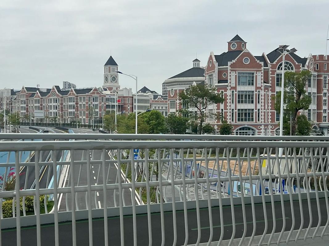 廈門很厲害,有brt,巴士在空中穿梭,有空中自行車道,專